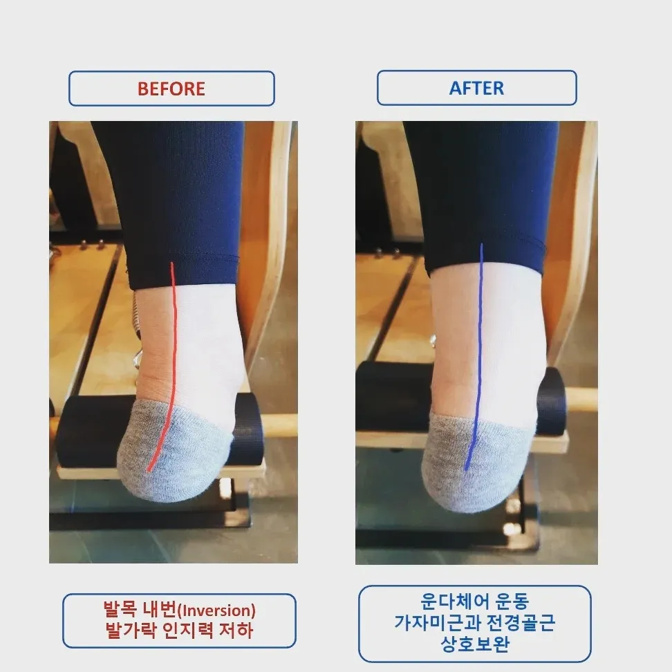 이미지 5