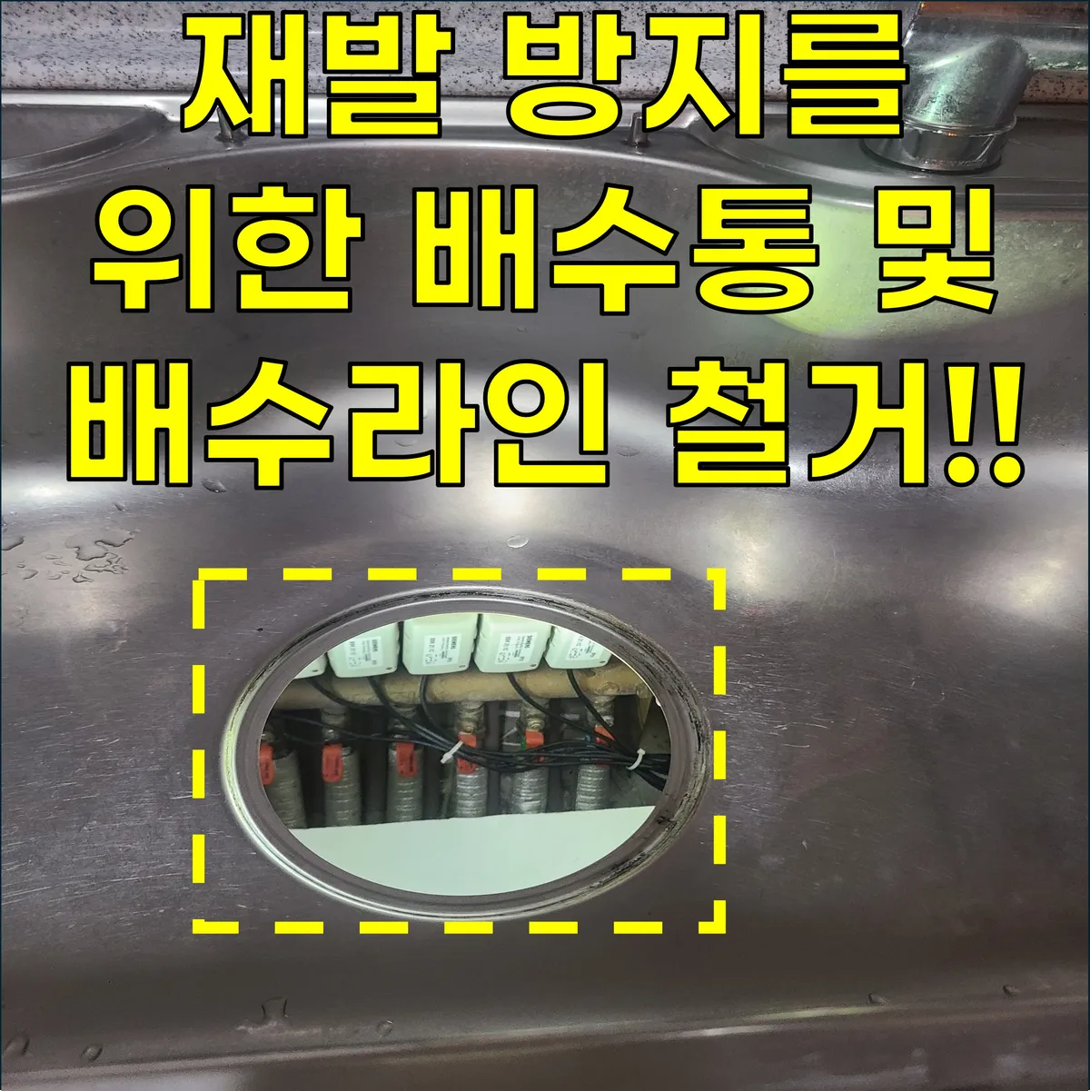 이미지 8