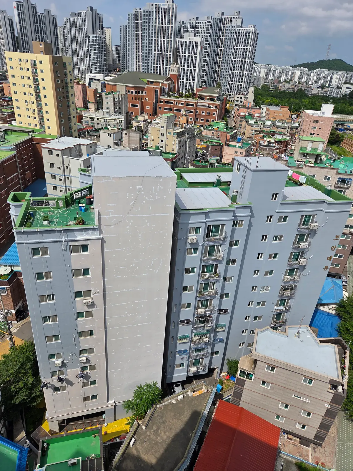 이미지 11