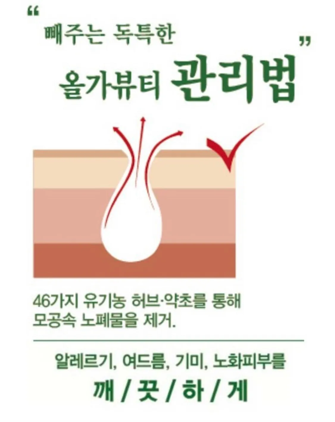 이미지 8