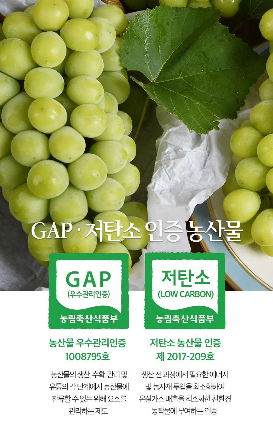 샤인머스캣 상세페이지 디자인 / 텍스츄라 - 숨고, 숨은고수 샤인머스캣 상세페이지 디자인