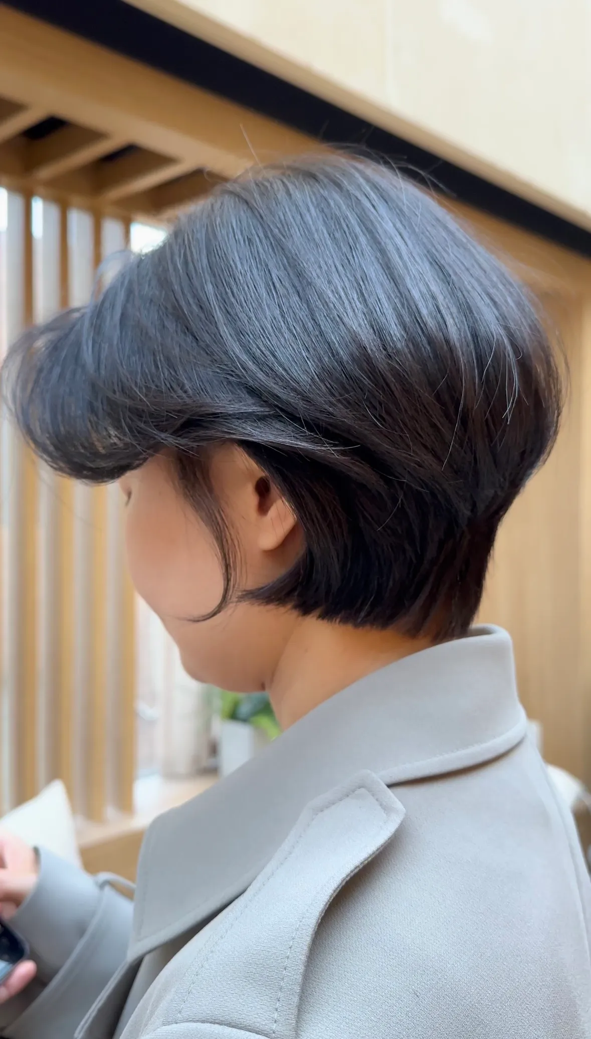 이미지 5