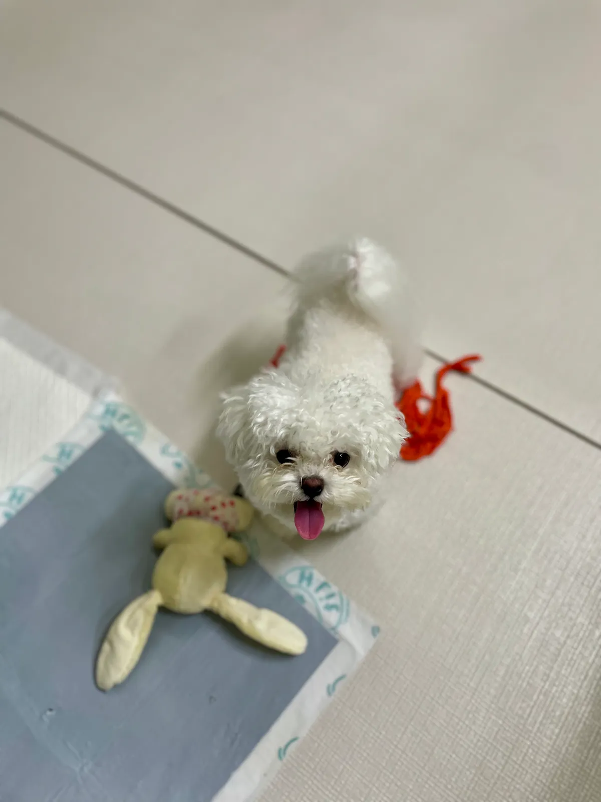 이미지 6