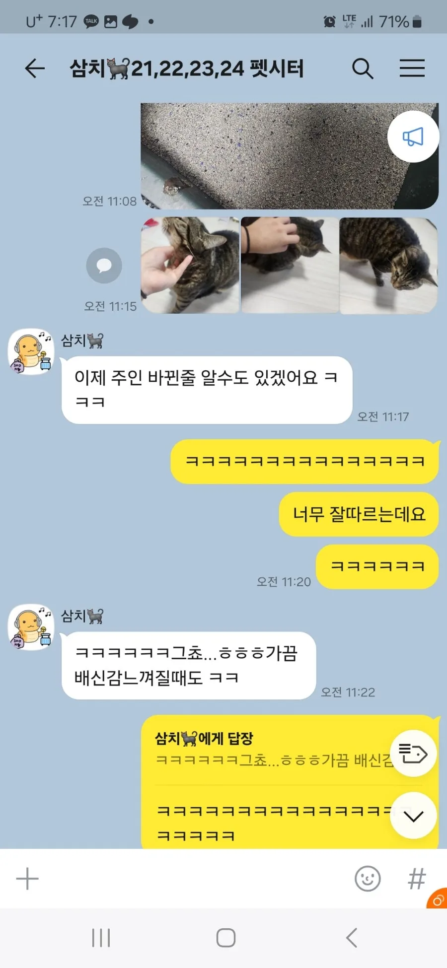 이미지 11