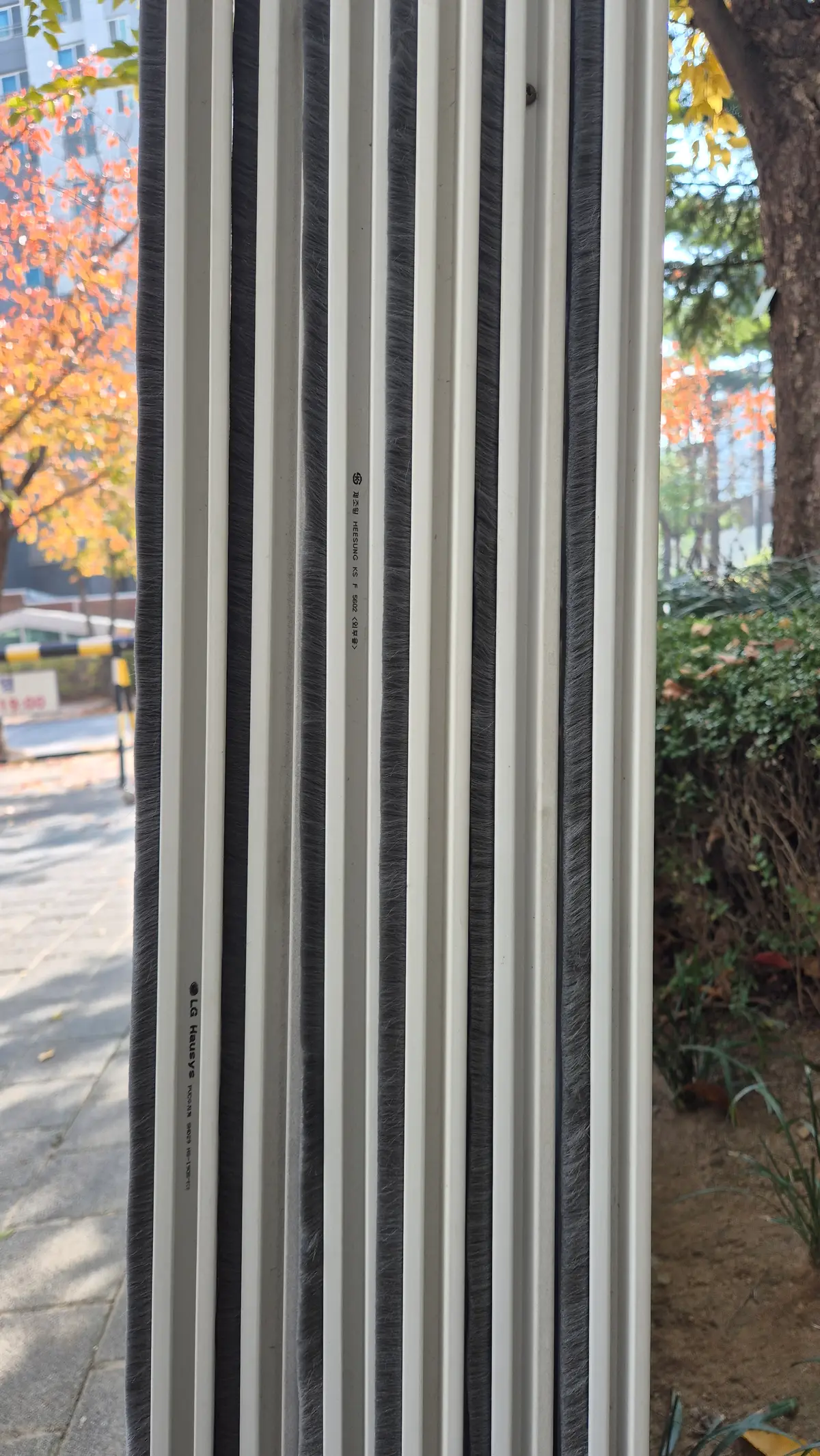 이미지 6