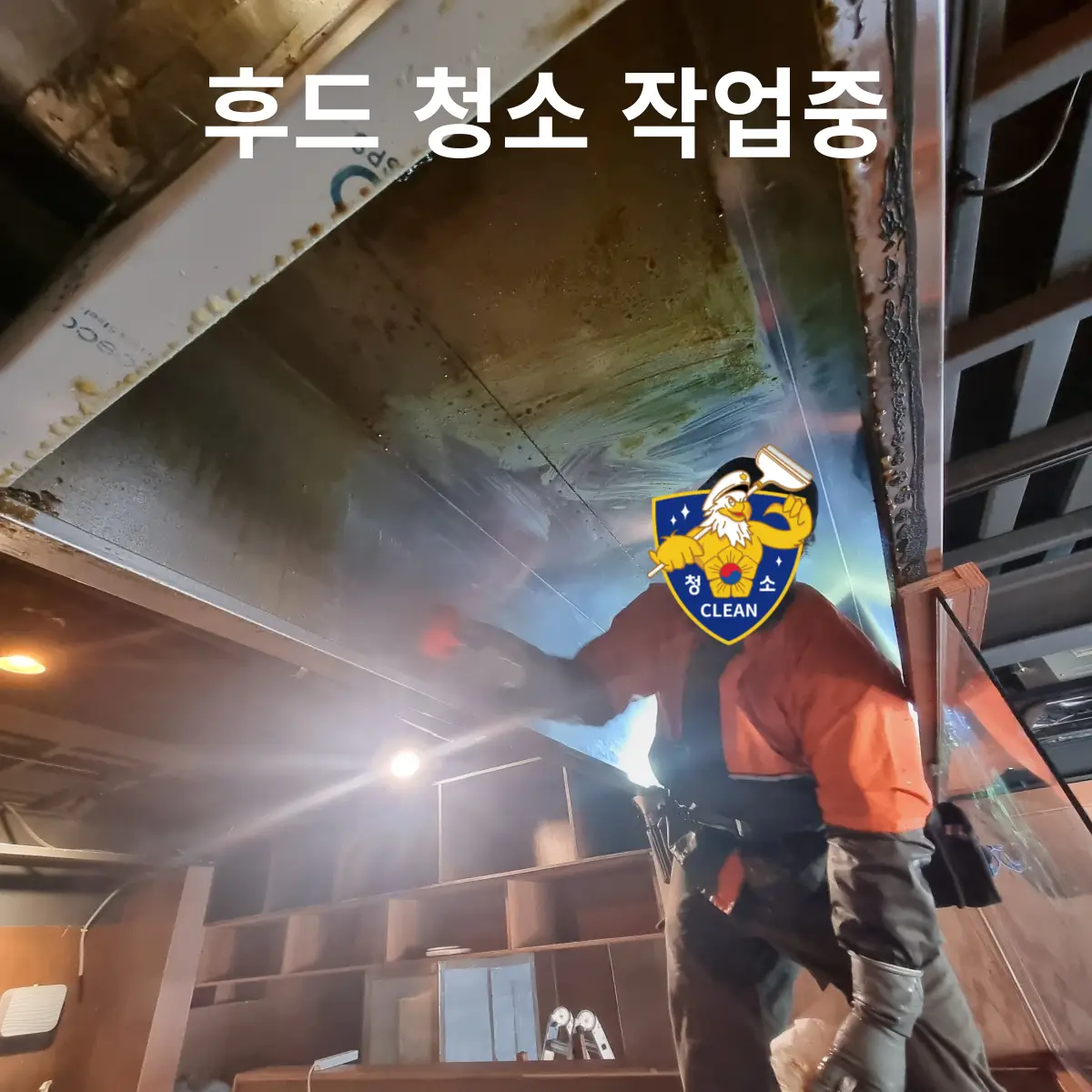 이미지 6