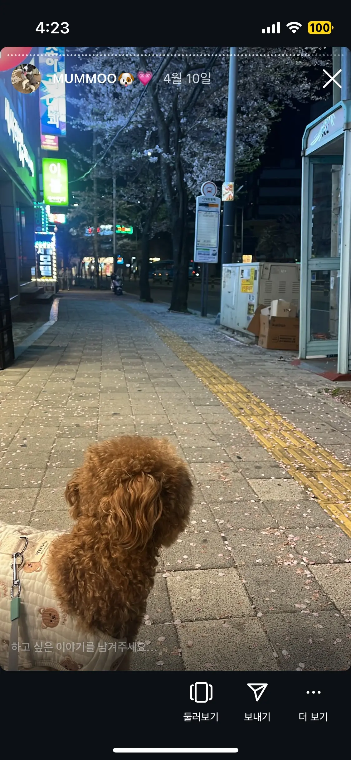 이미지 5