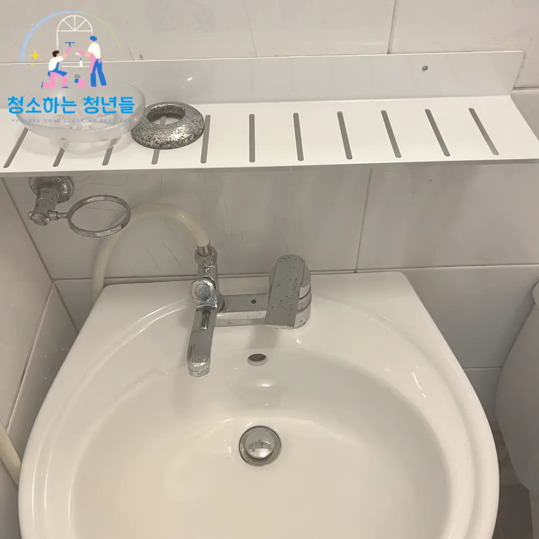 이미지 8