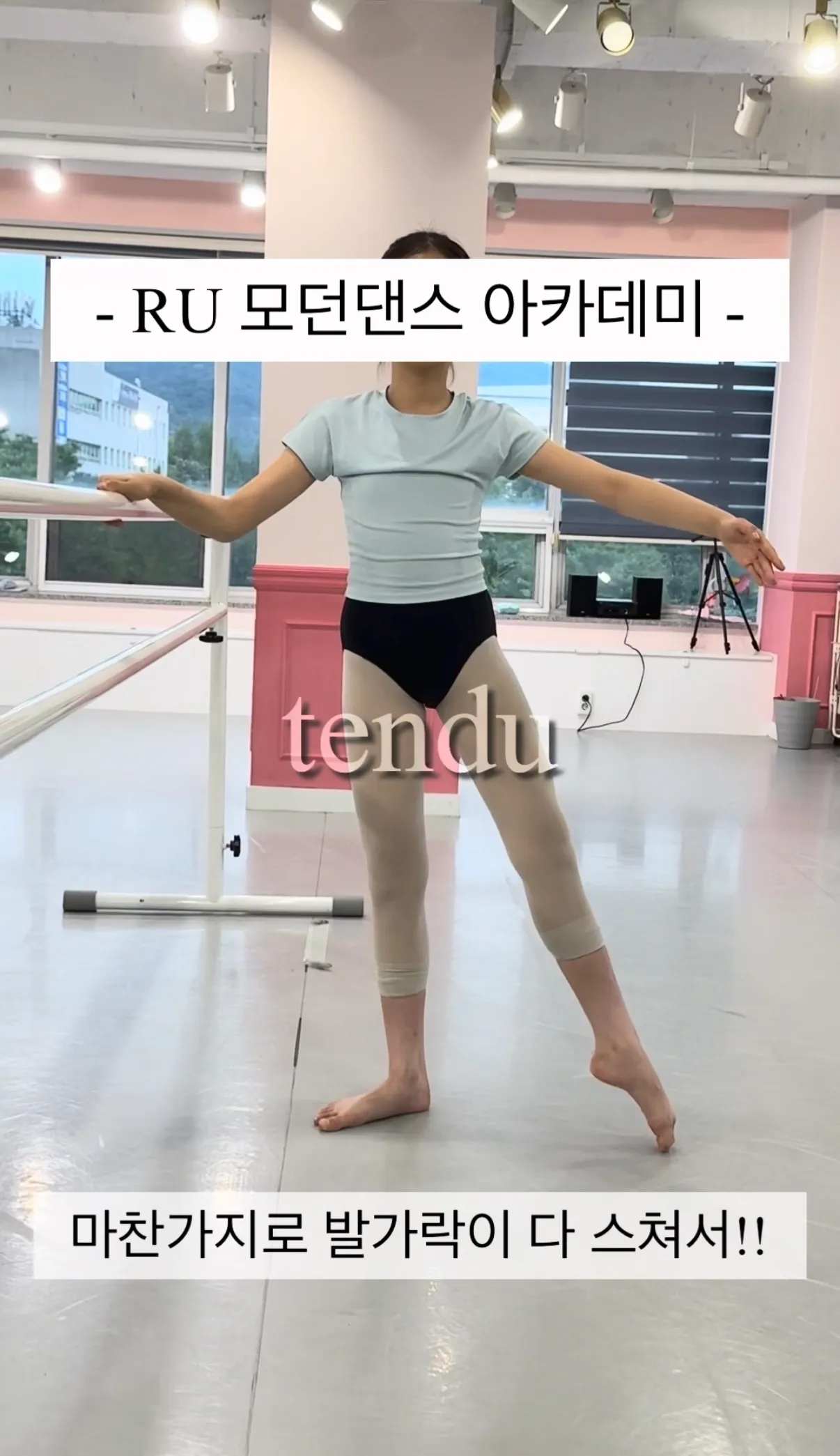 이미지 14