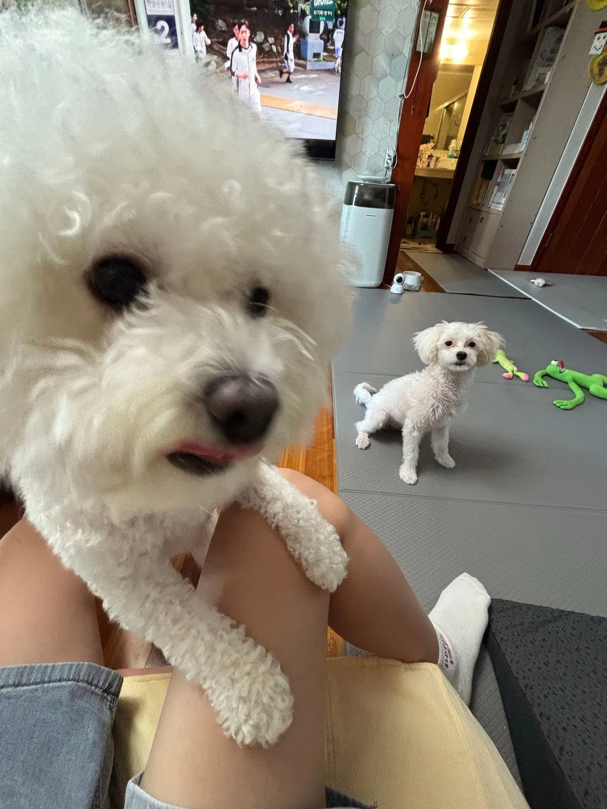 포트폴리오 이미지