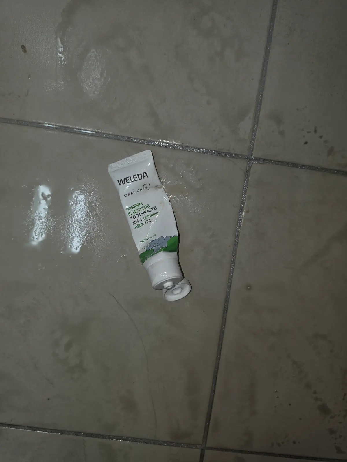 이미지 20