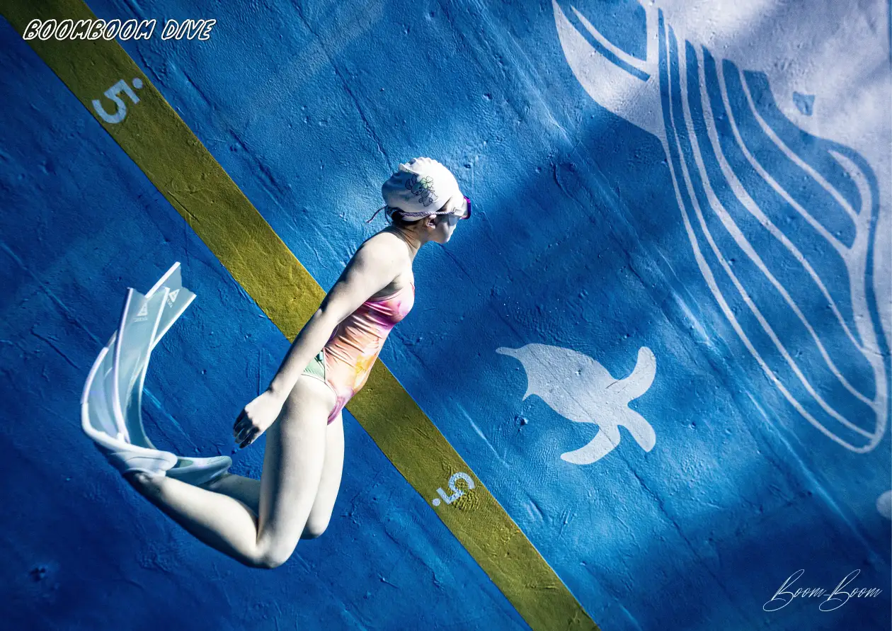 이미지 5