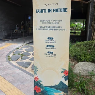 안토리조트 <모아나> 공연, 라이브 사운드 완벽 구현 무대 음향 대여