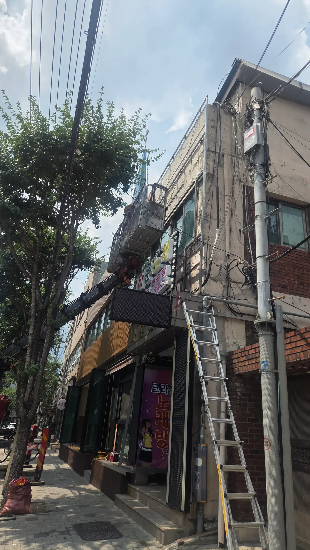 이미지 12