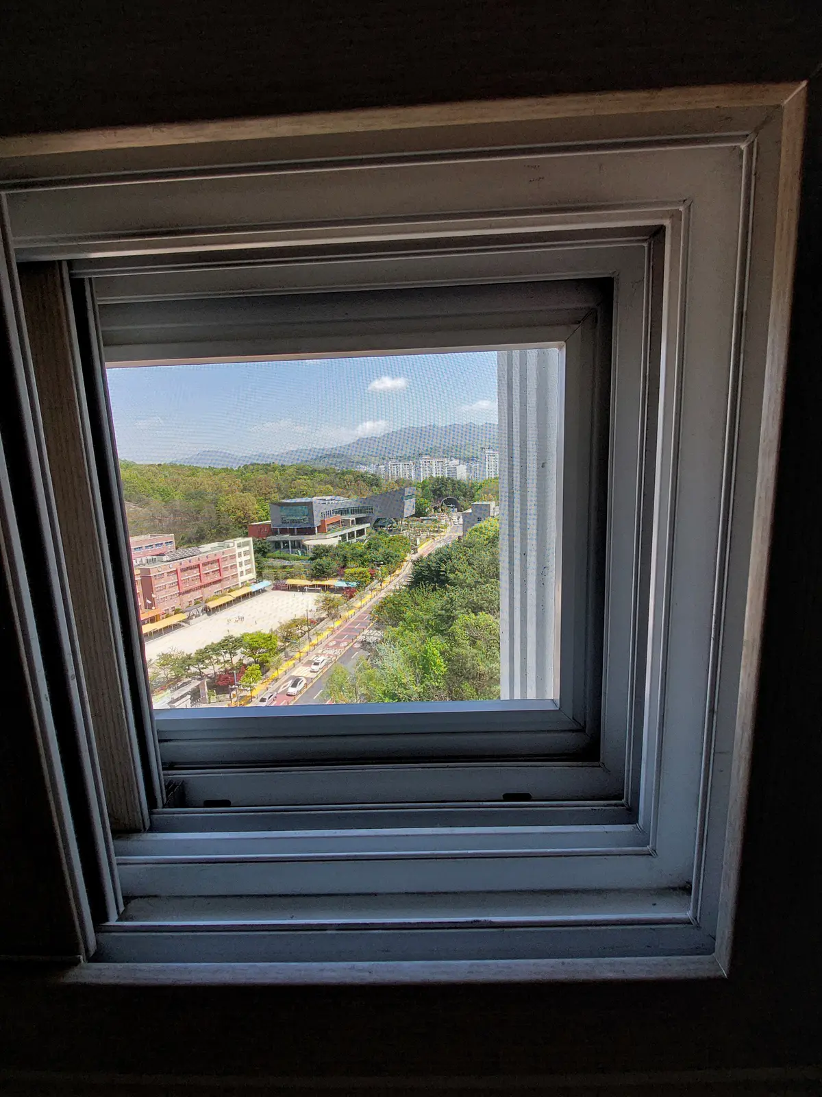 이미지 8