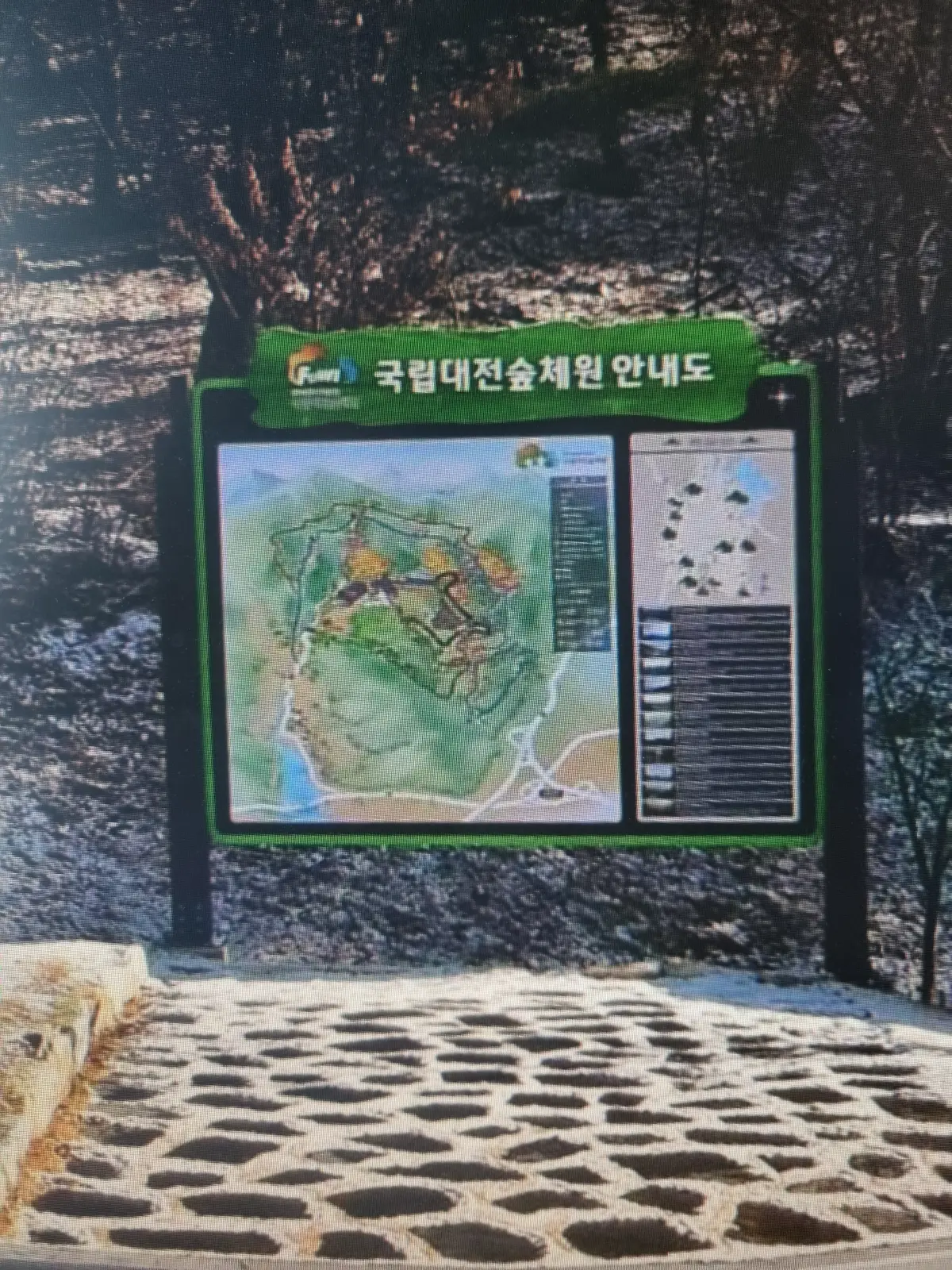 이미지 11