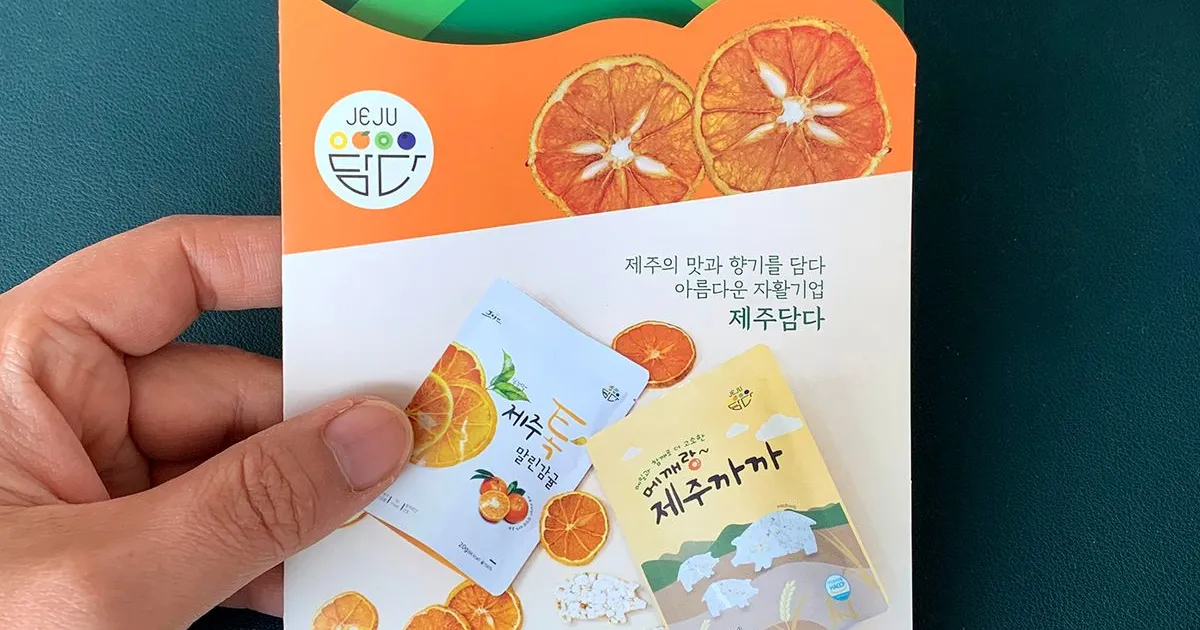 제주담다 리플렛 디자인 / Creative Sienna - 숨고, 숨은고수 제주담다 리플렛 디자인