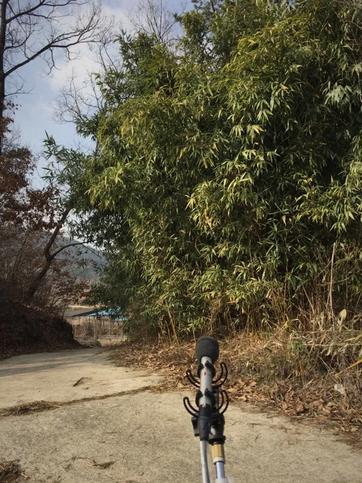 이미지 11