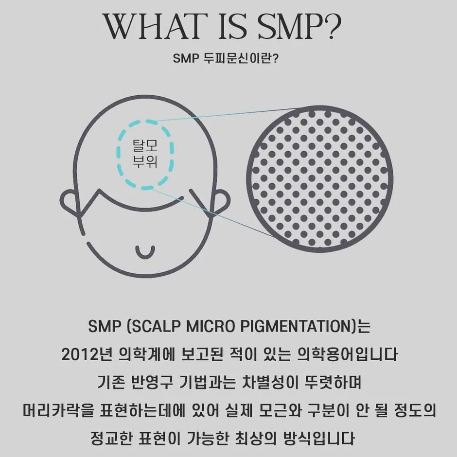 이미지 5
