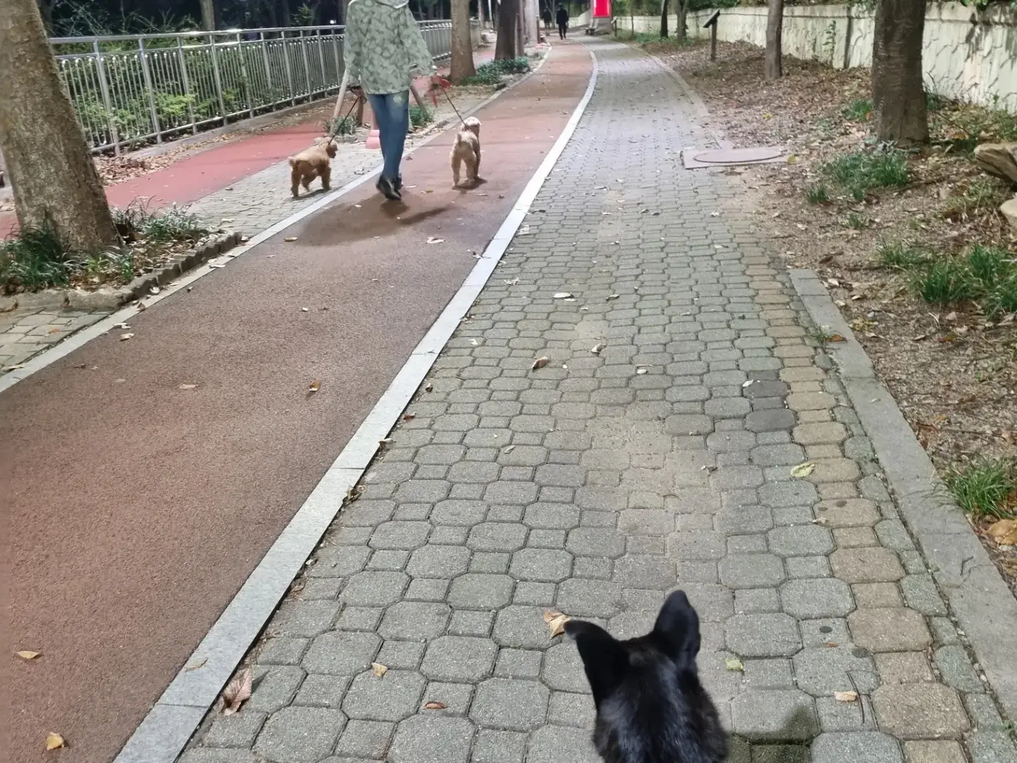이미지 7