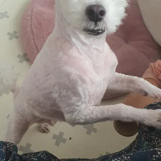 케어하는 일. 행복해요!