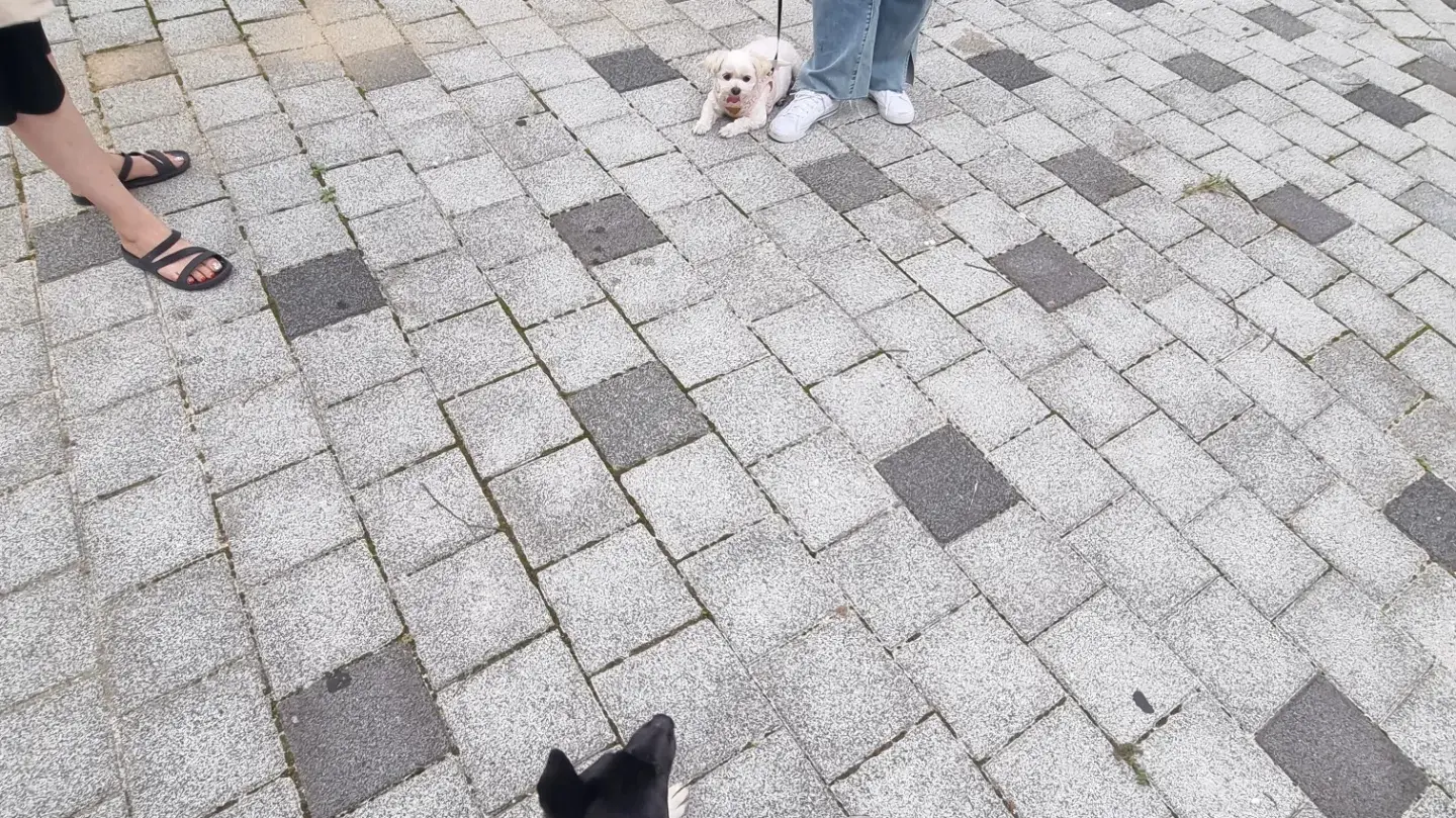이미지 7