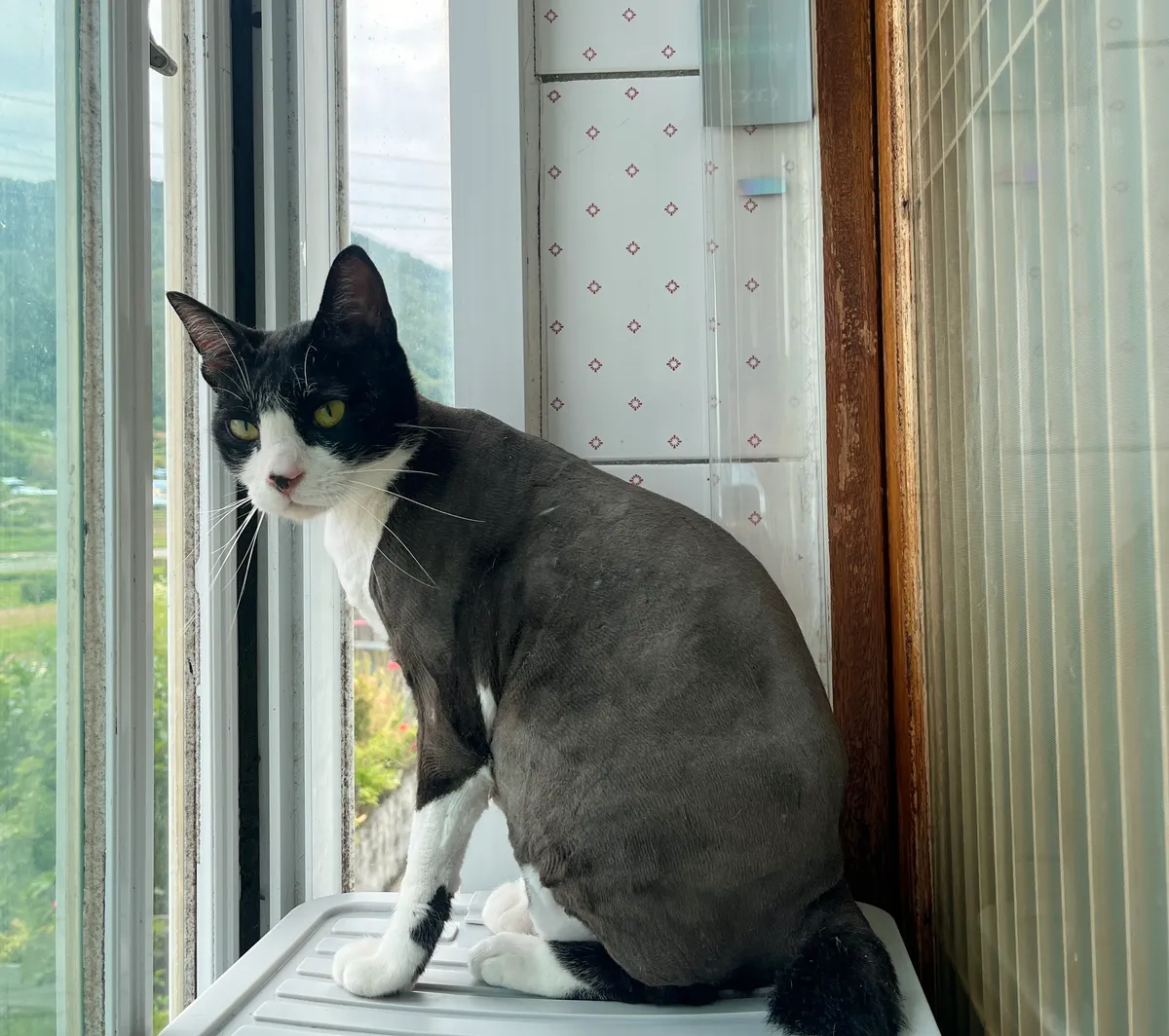 이미지 5