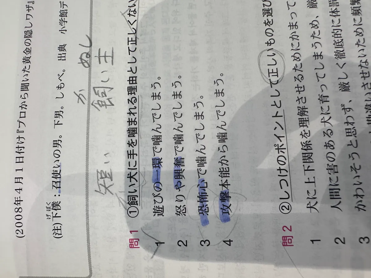이미지 5