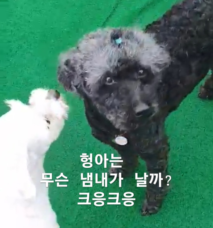 이미지 6