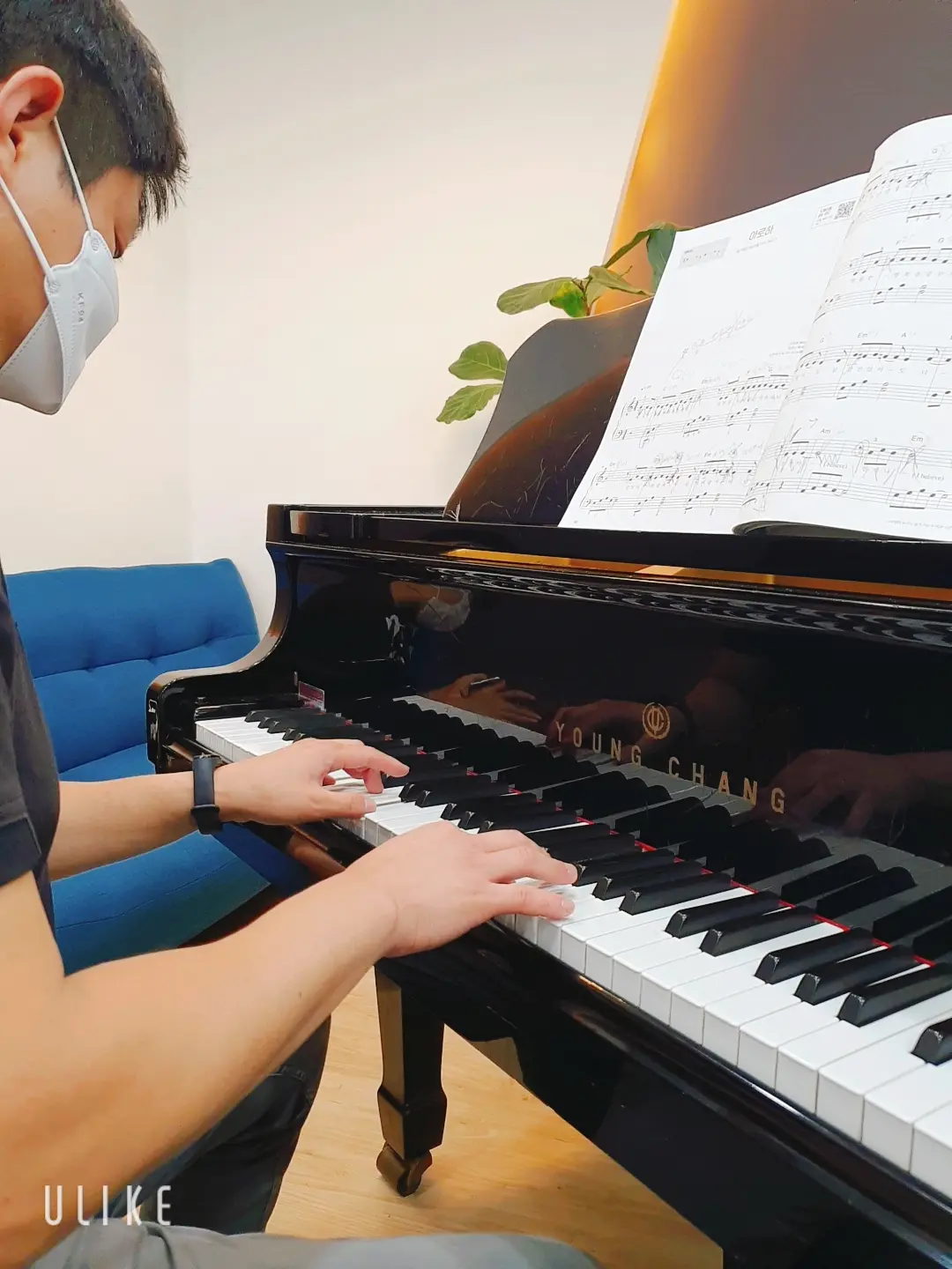 이미지 5