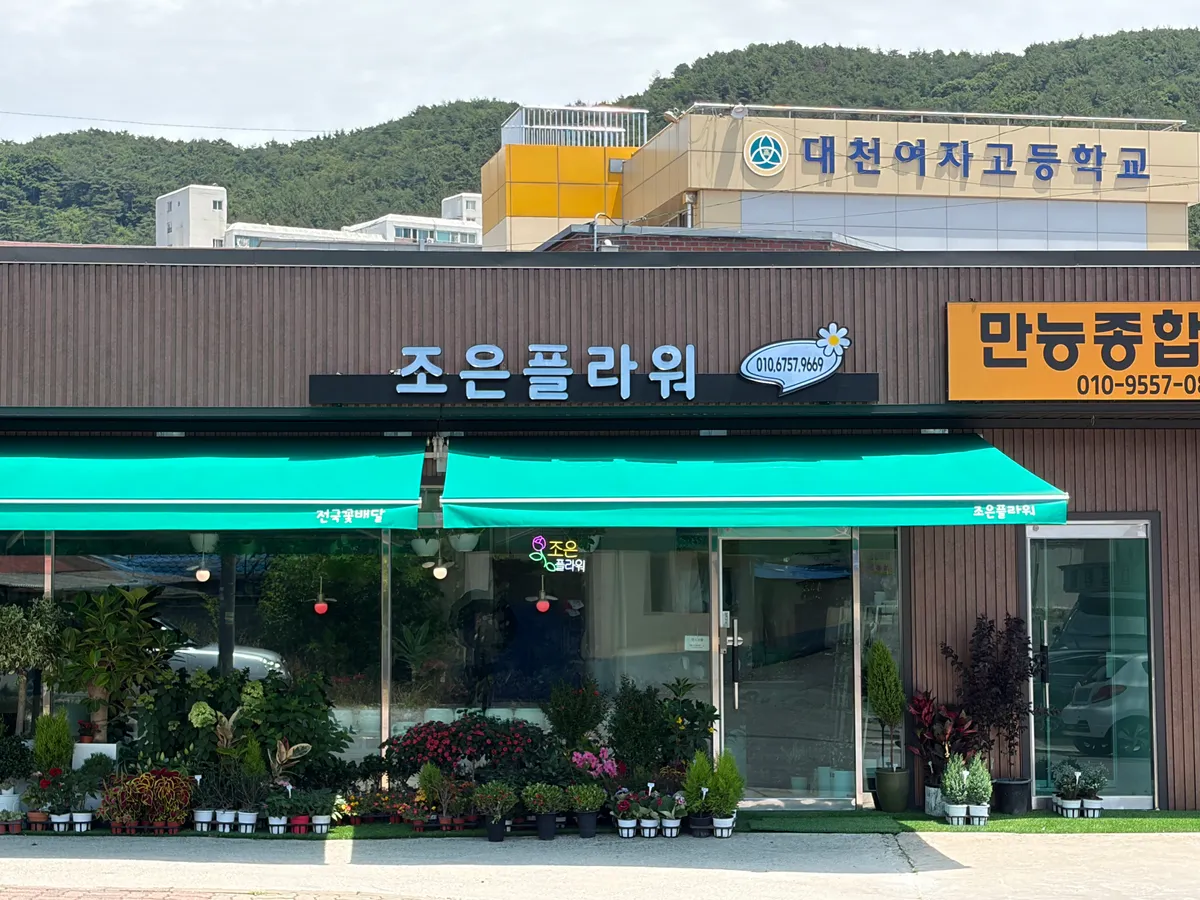 이미지 10