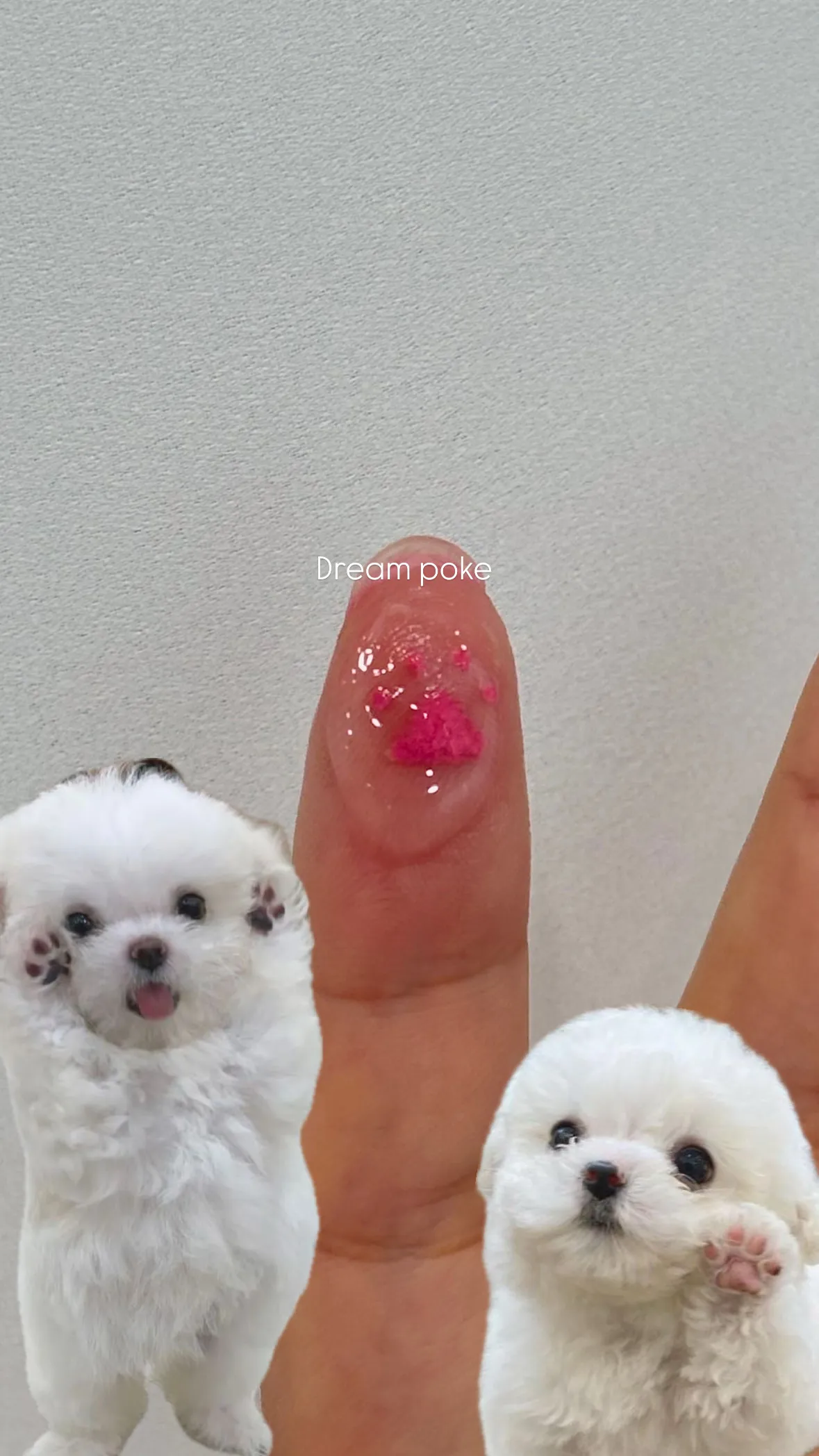 이미지 3