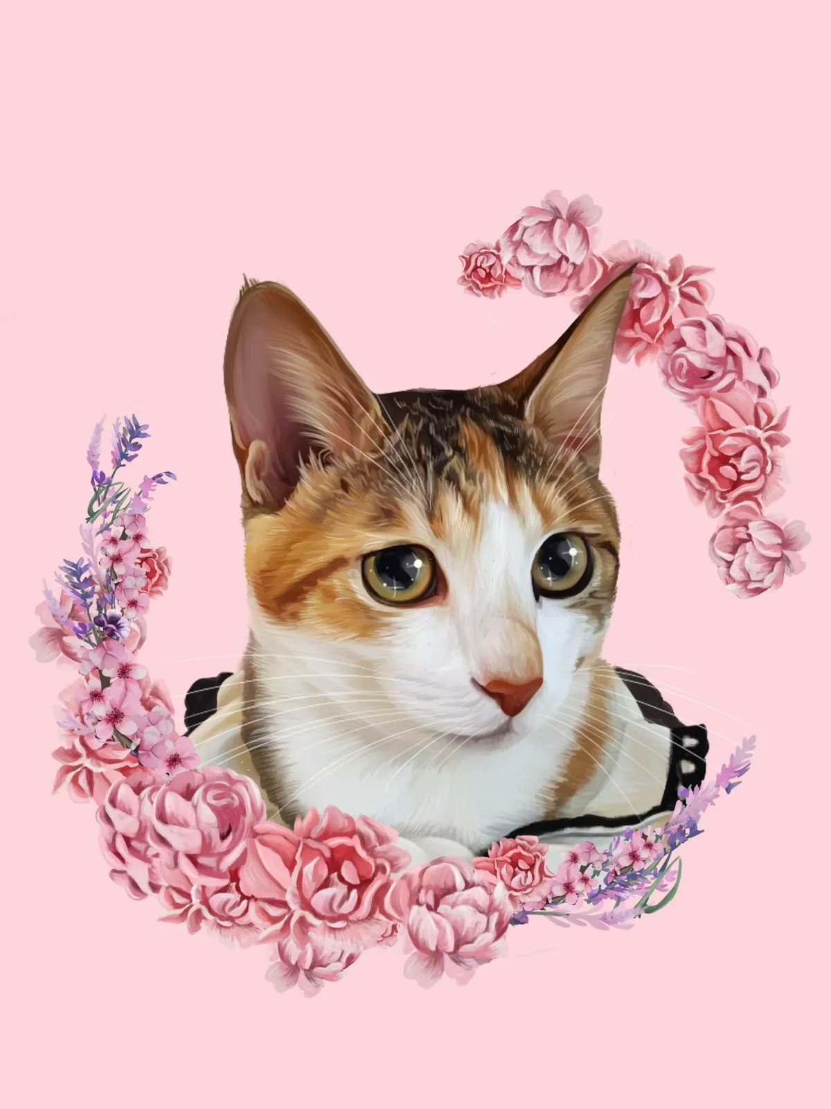 이미지 7