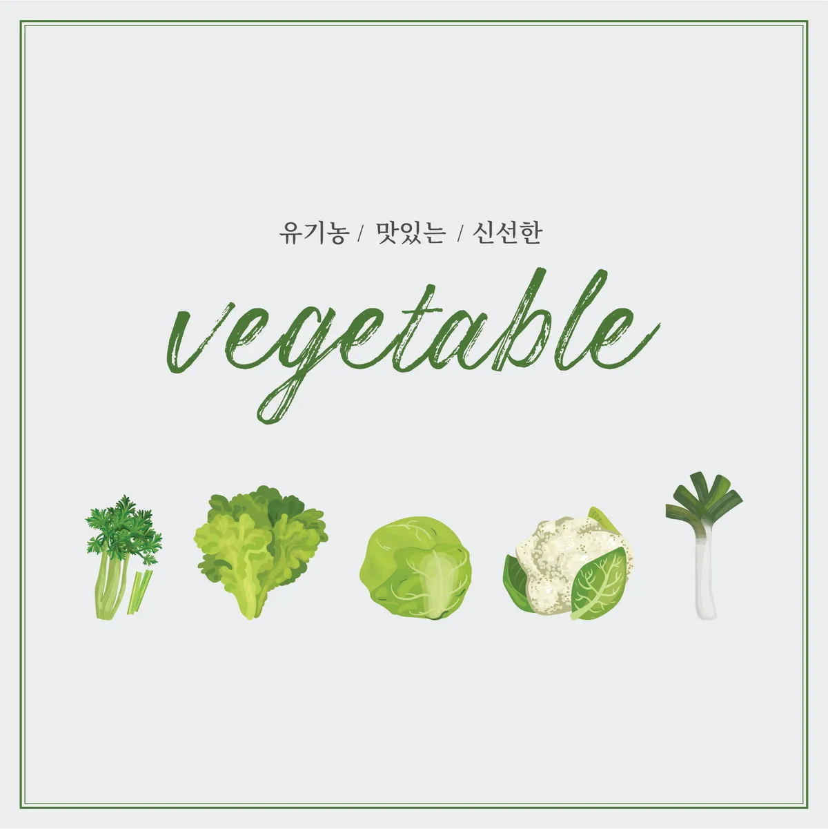 이미지 11