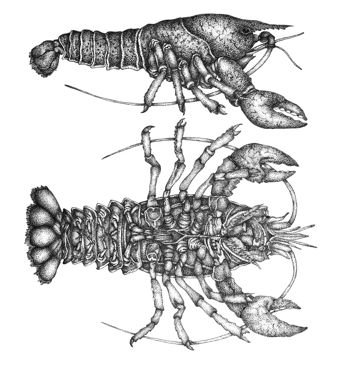 이미지 5