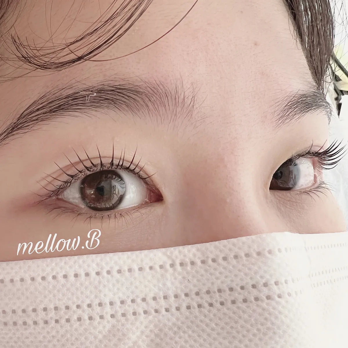 이미지 4