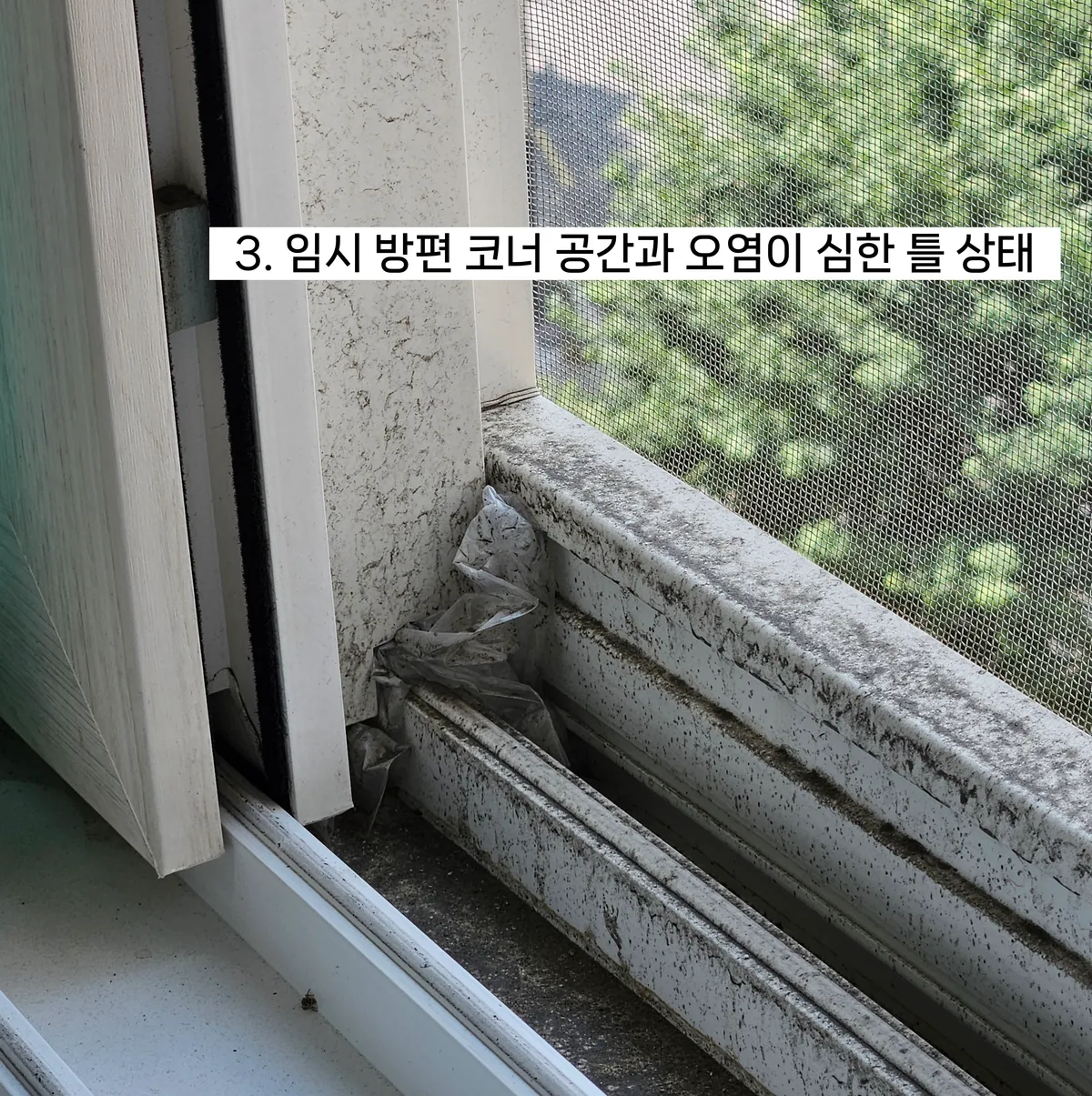 이미지 6
