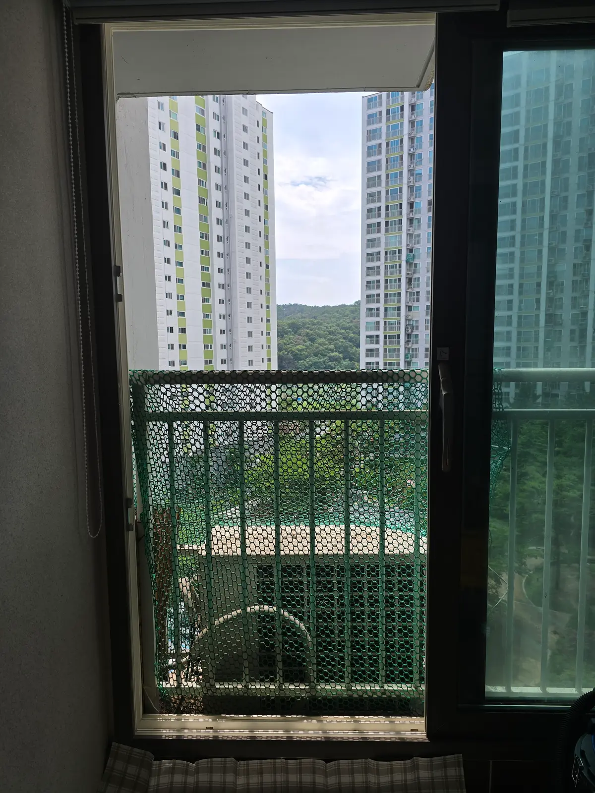 이미지 11