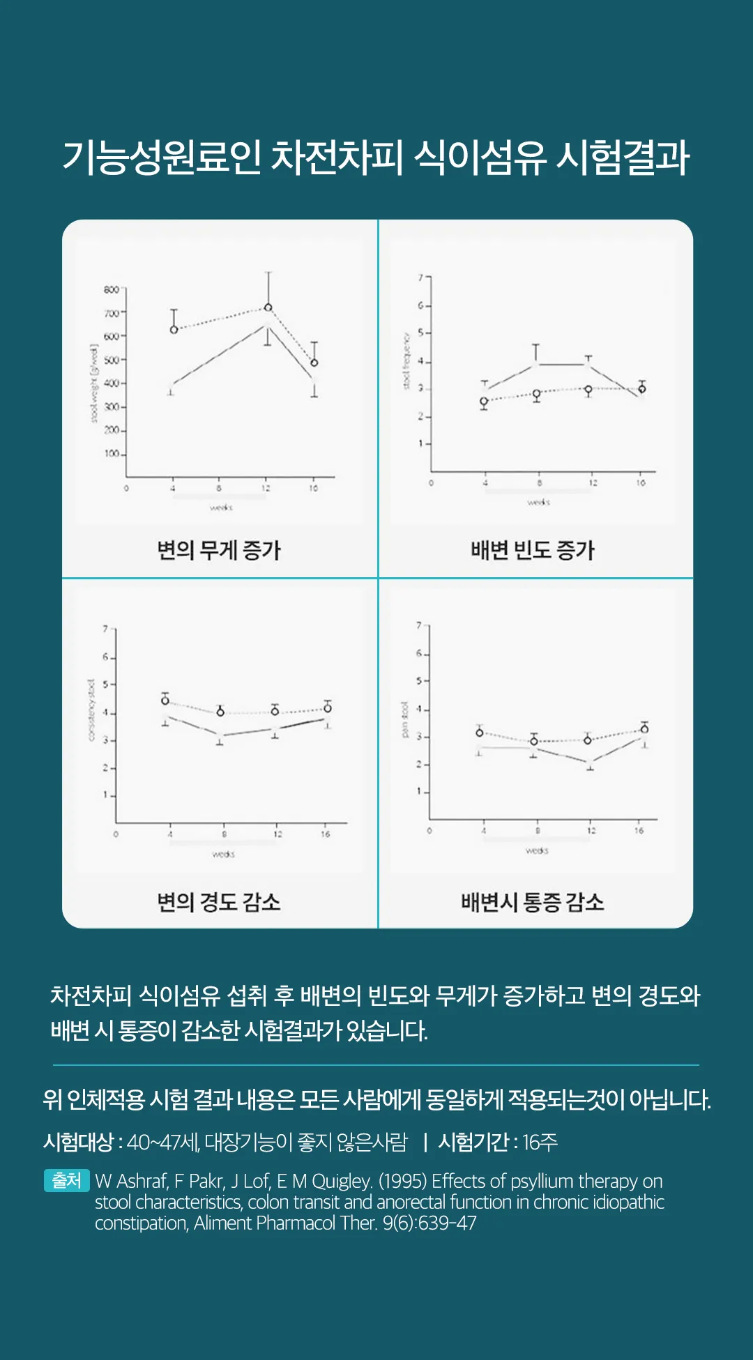이미지 8