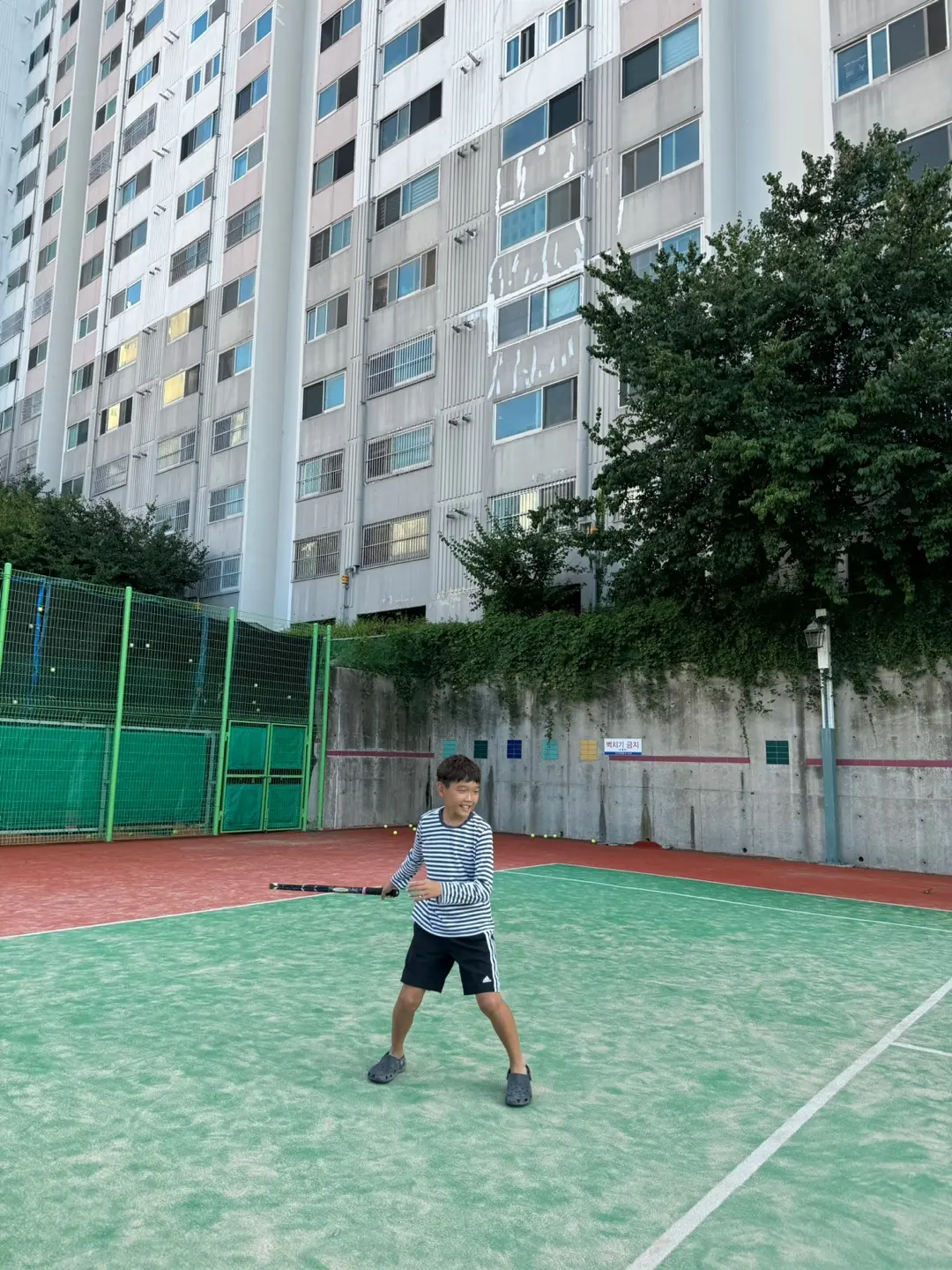 이미지 8