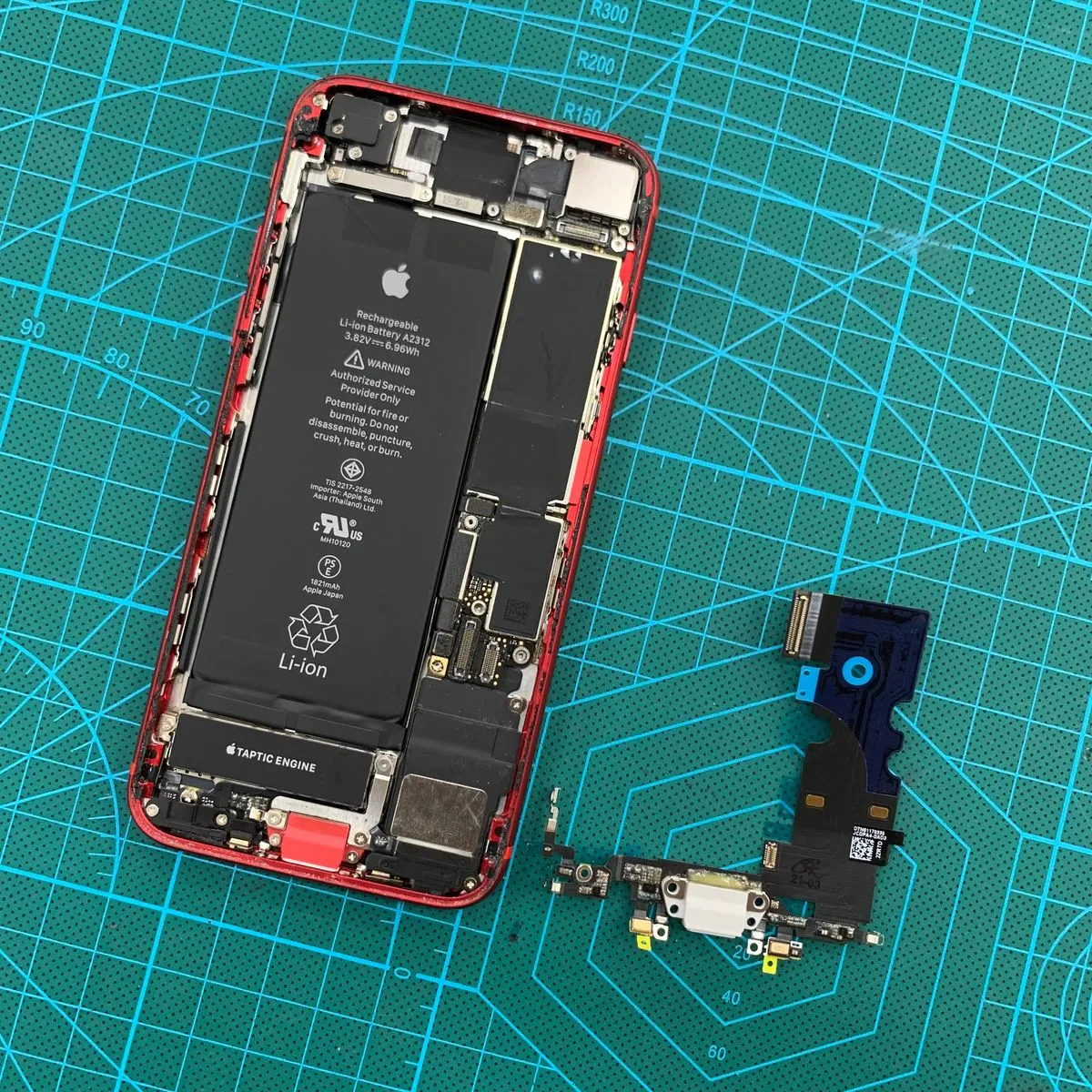 포트폴리오 이미지