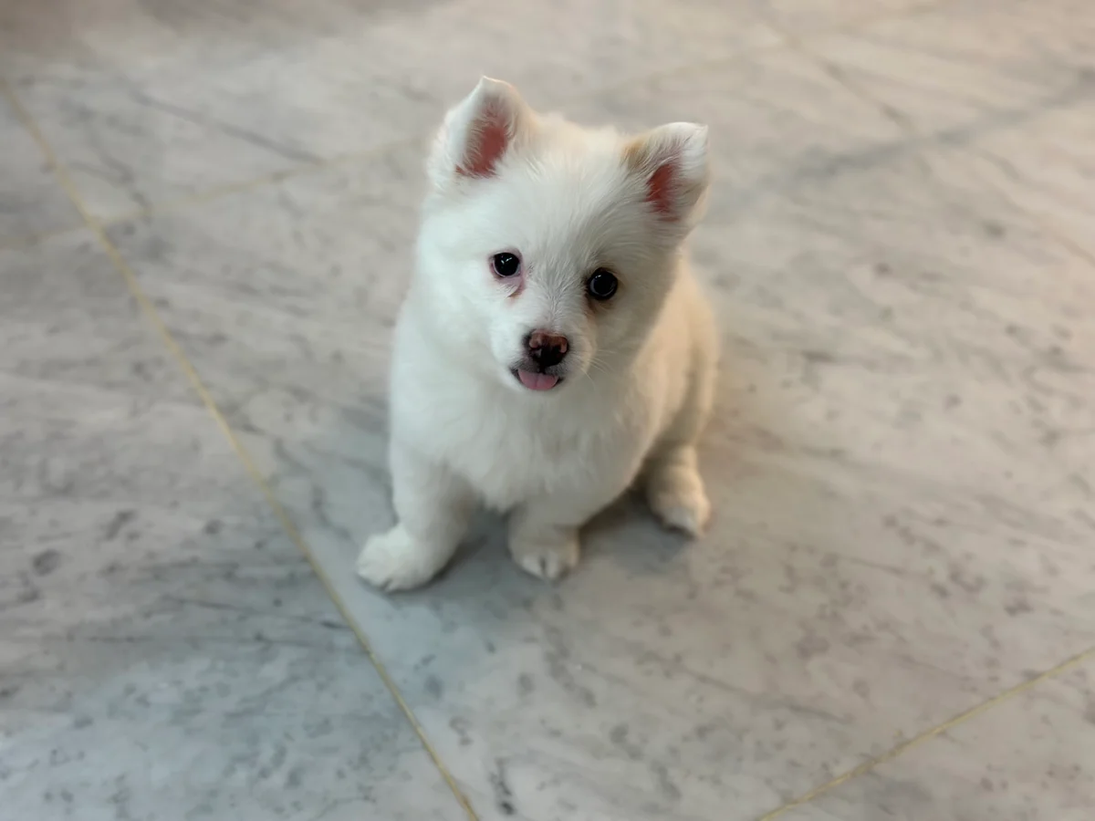 이미지 6