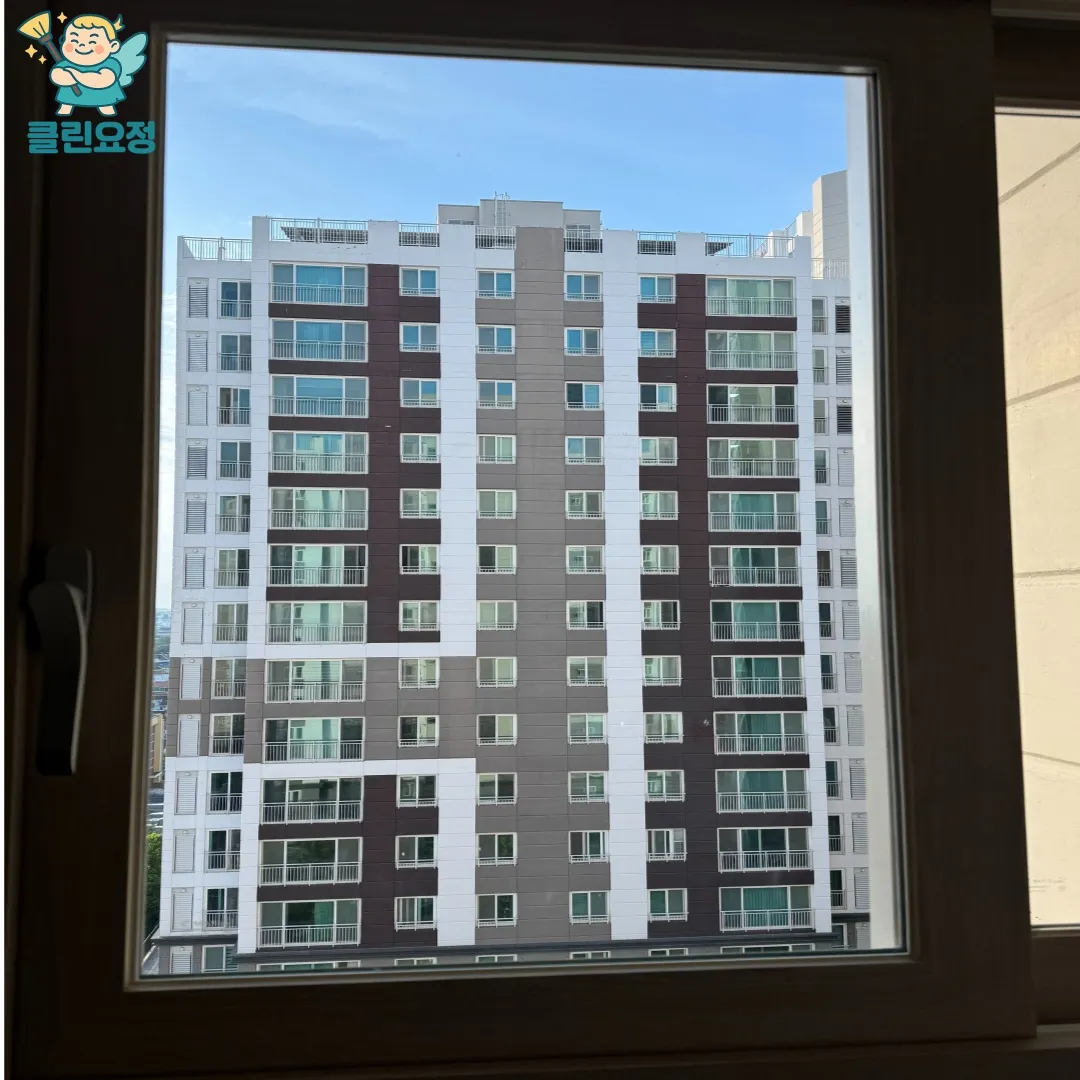 이미지 7