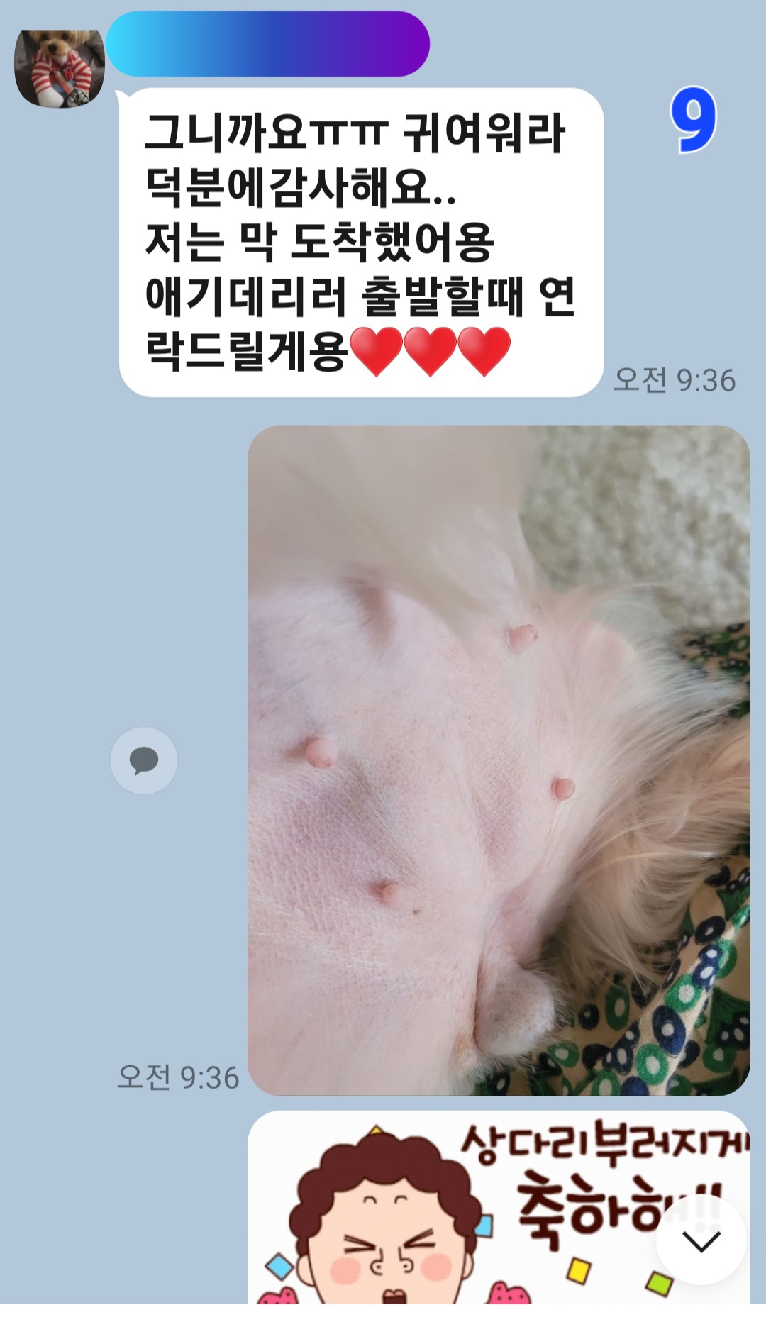 이미지 11