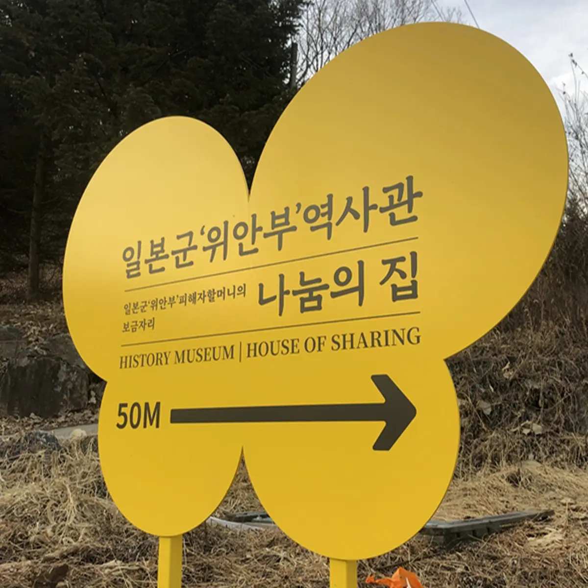 이미지 7