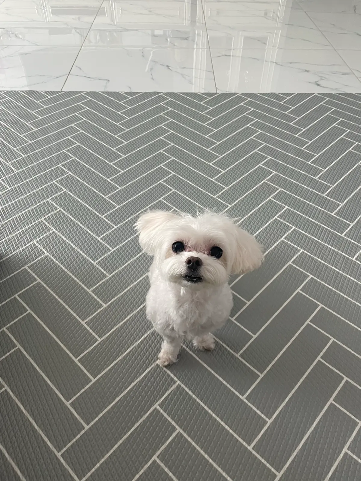 이미지 6