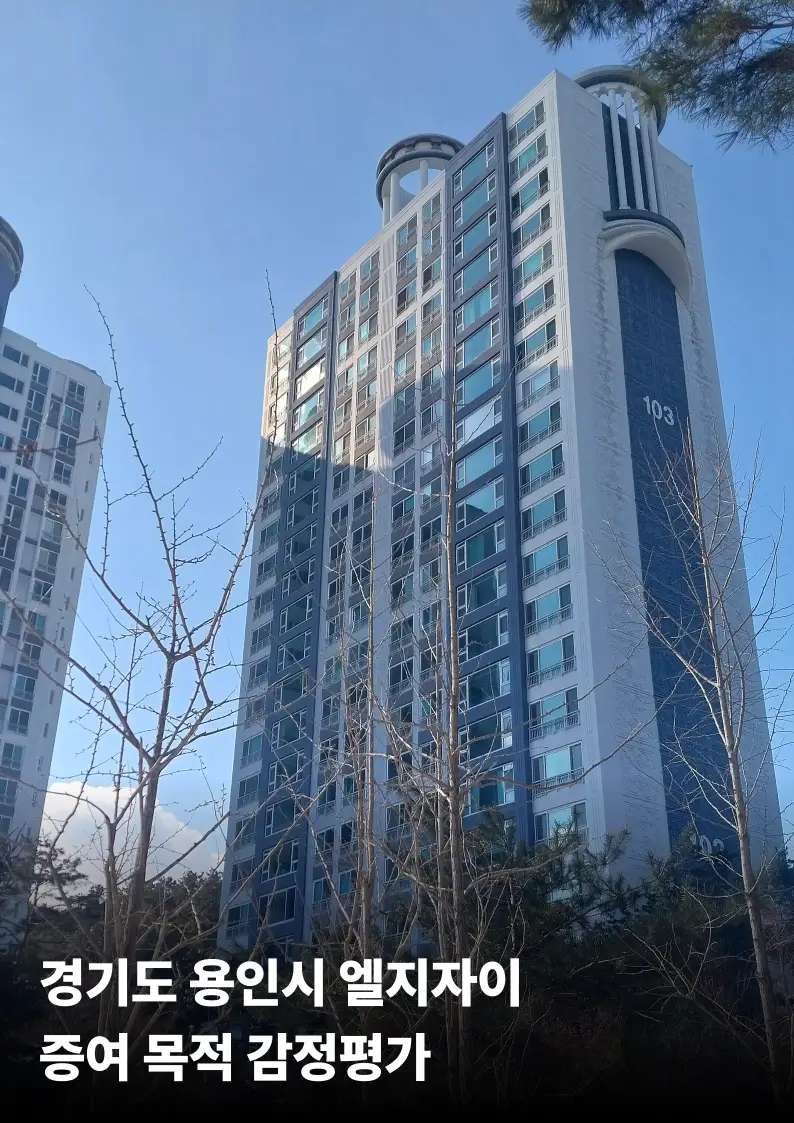 이미지 4