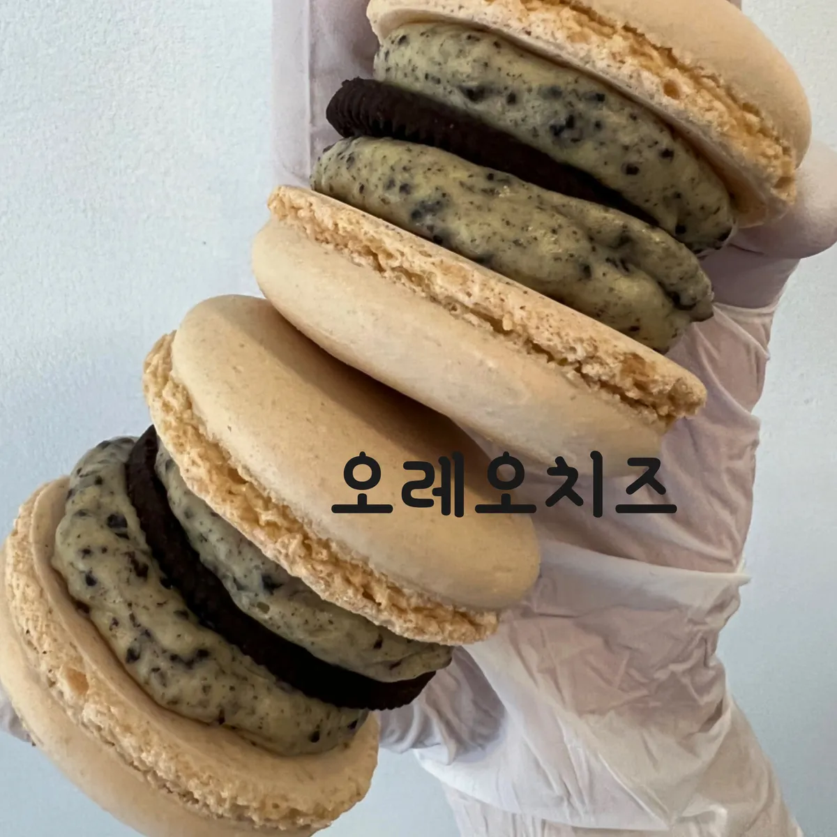 이미지 11