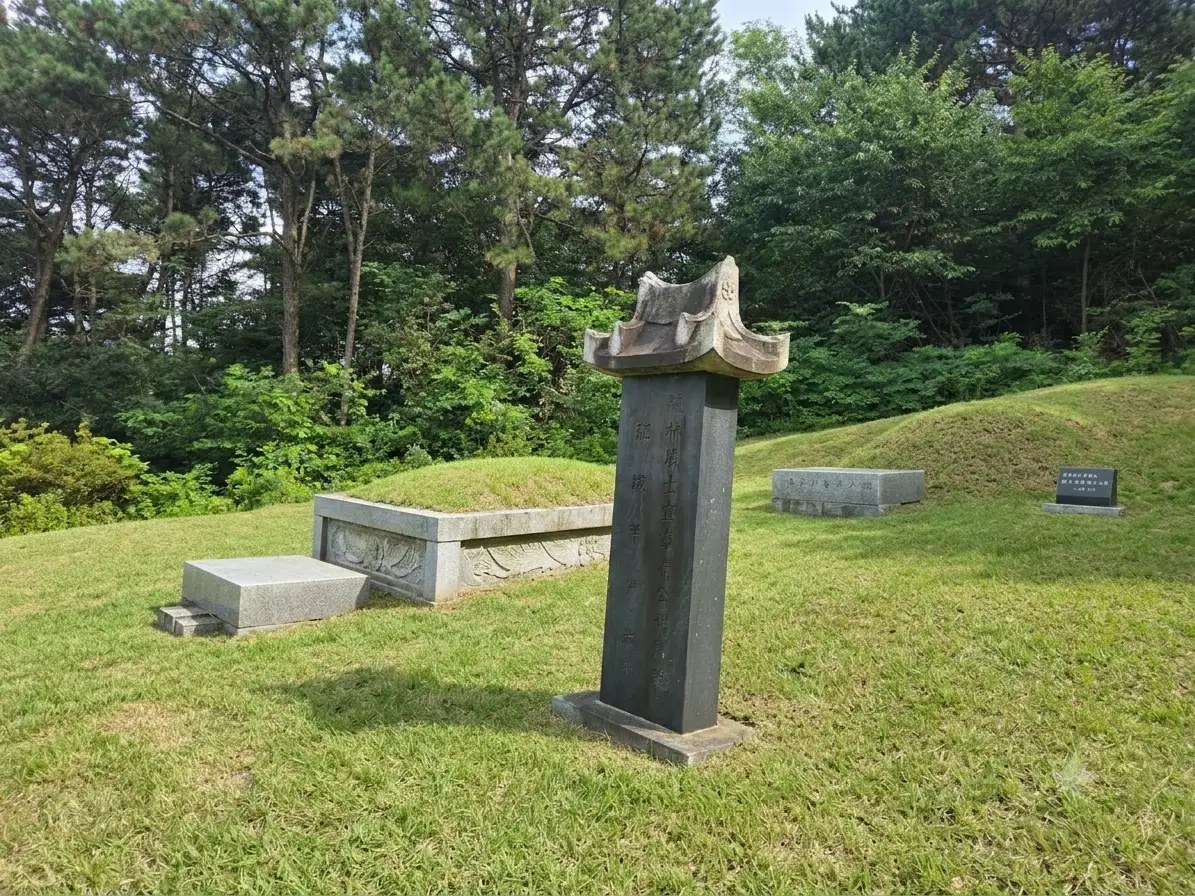 이미지 4