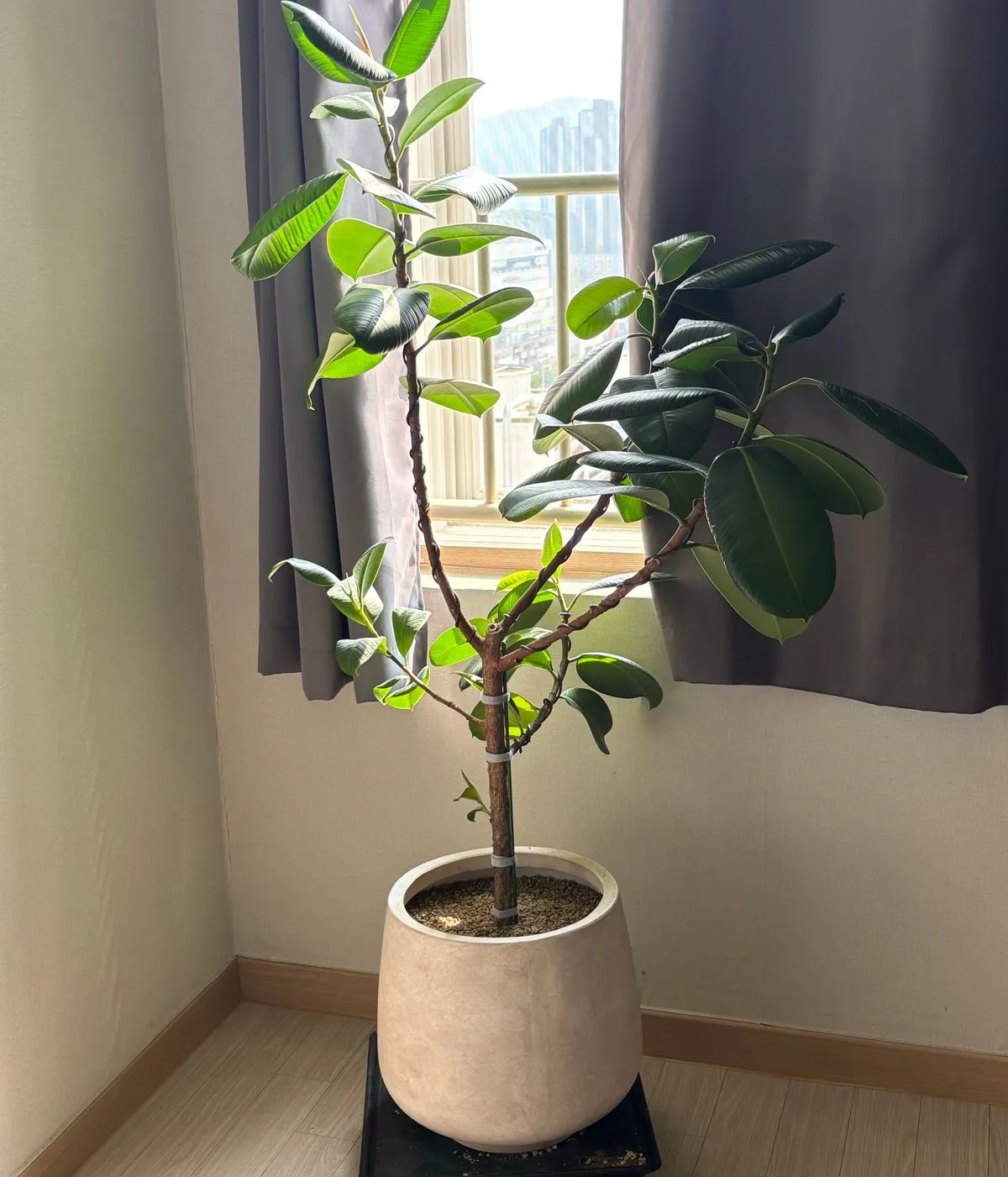 포트폴리오 이미지